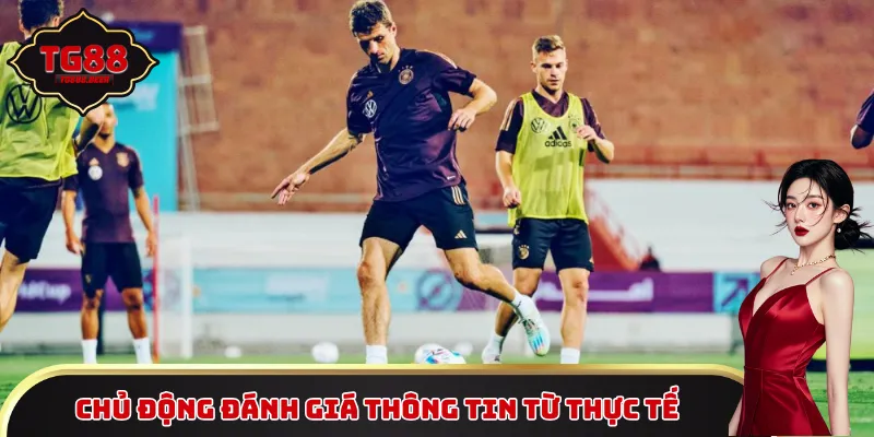 Chủ động đánh giá thông tin từ thực tế